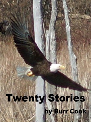 cover image of Twenty Stories